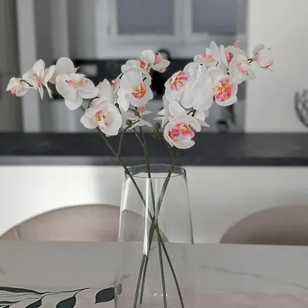 Appartamento Kerstin Bruns - Lissa With Ocean Views *