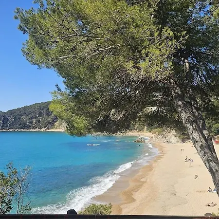 Апартаменты Kerstin Bruns - Lissa With Ocean Views Тосса-де-Мар