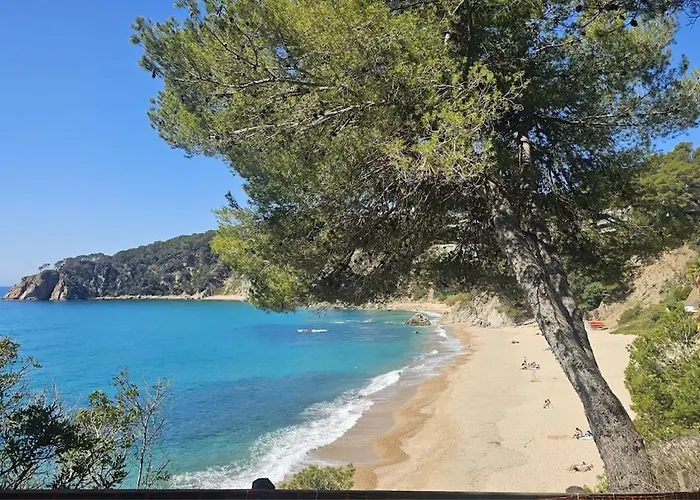 아파트 Kerstin Bruns - Lissa With Ocean Views 또사데마르